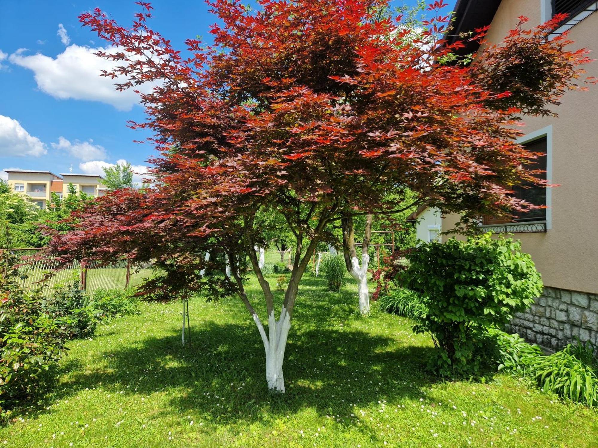 Studio Apartman Marica - Ogulin, Hrvatska Εξωτερικό φωτογραφία